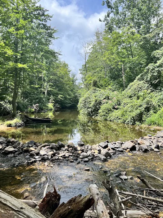 Roxbury Holiness Camp 6