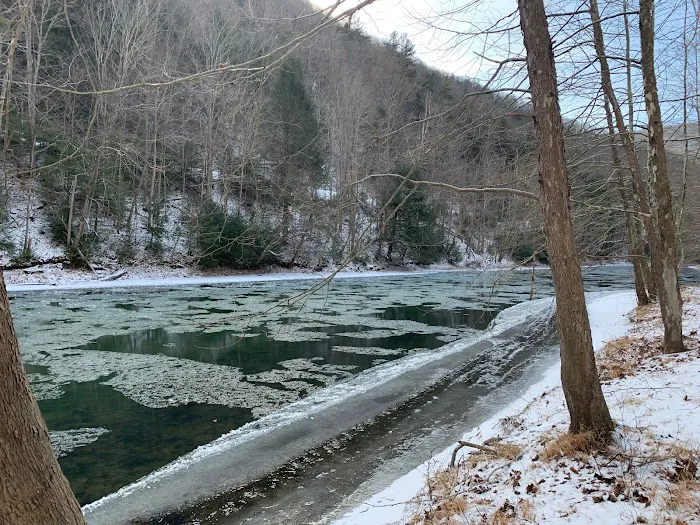 Riverview Campsites 7