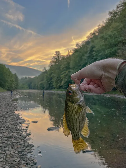 Riverview Campsites 1