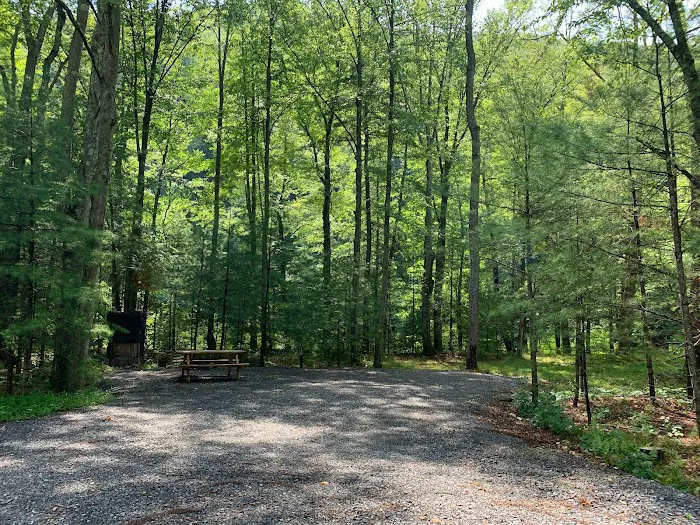 Riverview Campsites 5