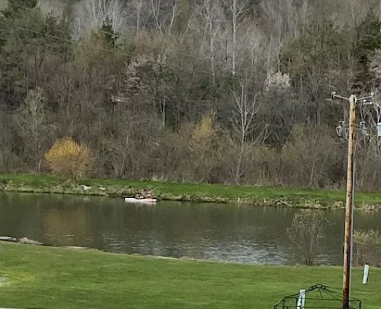 Finger Lakes Campground