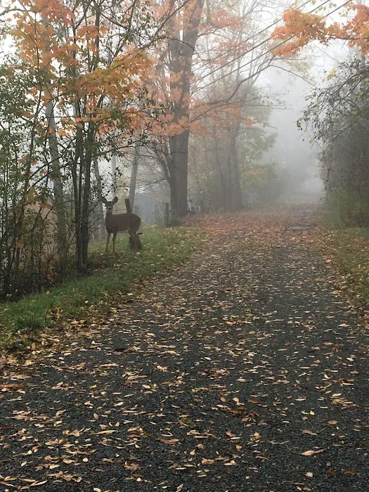 Wright's Waneta Lake Cottages 2