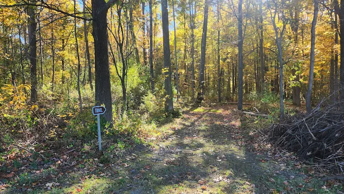 Lakeview Camp Sites 5