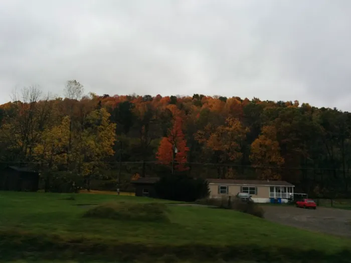 Meadows Park Trailer Park 1