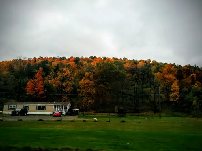 Meadows Park Trailer Park 0