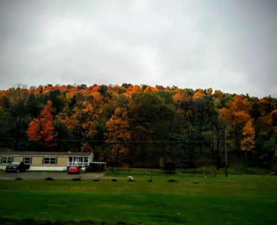 Meadows Park Trailer Park