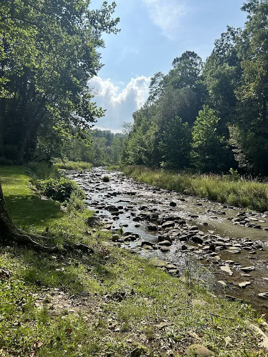 Sun Valley Campsites 4