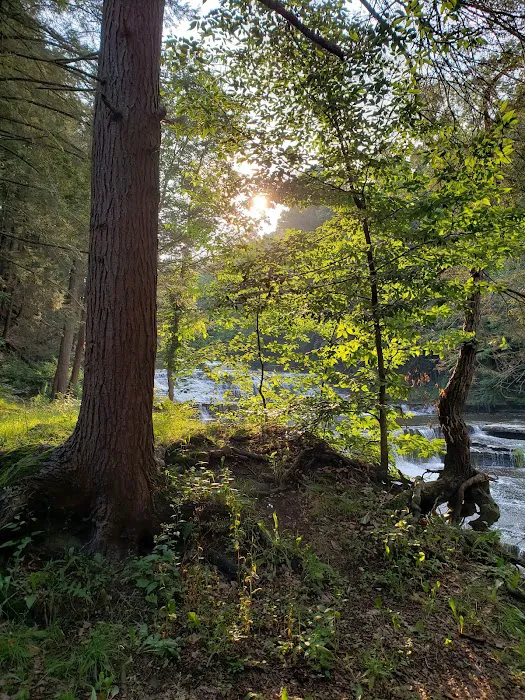 Sun Valley Campsites 5