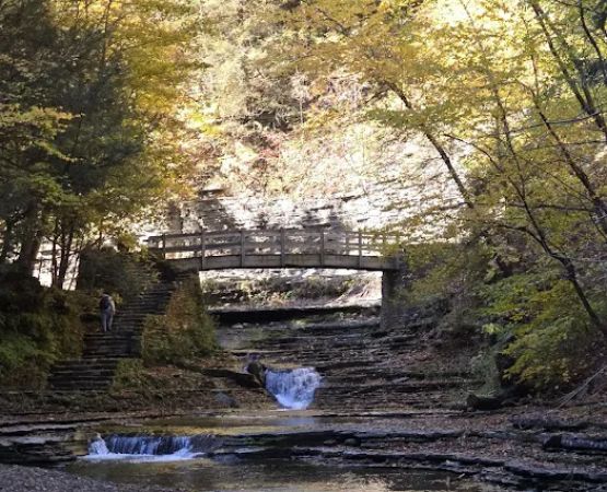 Group Camp Entrance, Stony Brook