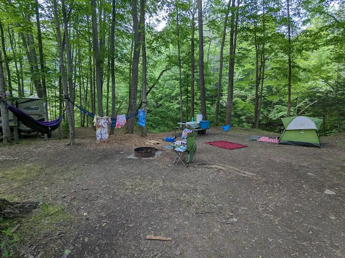 Group Camp Entrance, Stony Brook 4