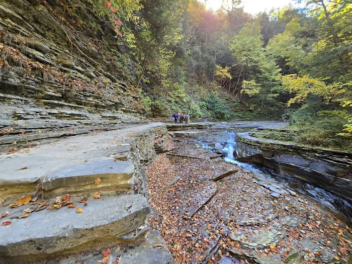 Group Camp Entrance, Stony Brook 3
