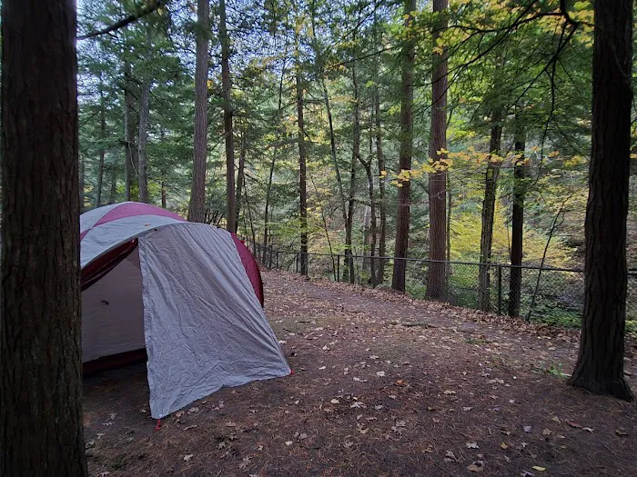 Group Camp Entrance, Stony Brook 1