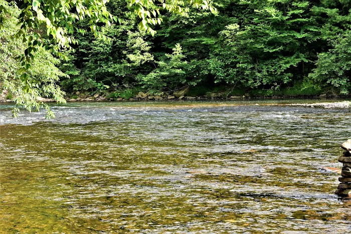 Benezett Store Campground 7