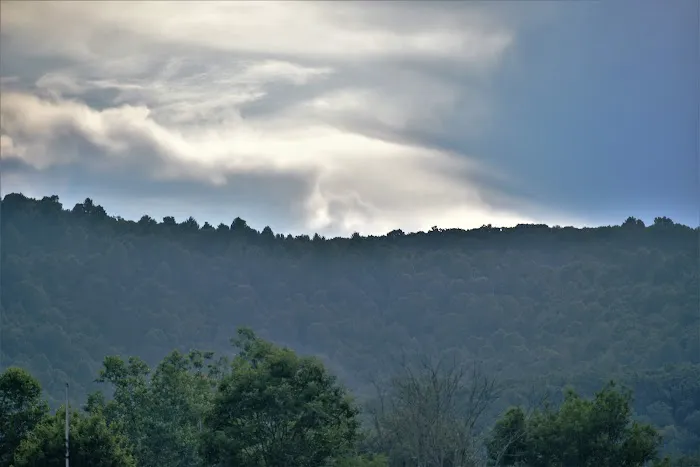Benezett Store Campground 1