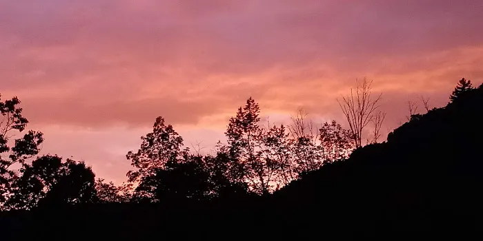 Benezett Store Campground 5