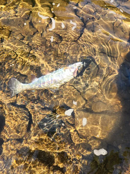 Elk Crossing 555 Campground 3