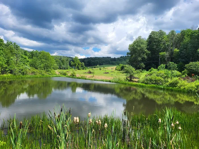 Sunset Vue Campground 1