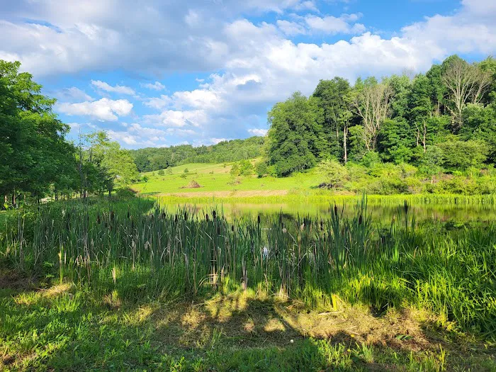 Sunset Vue Campground 5