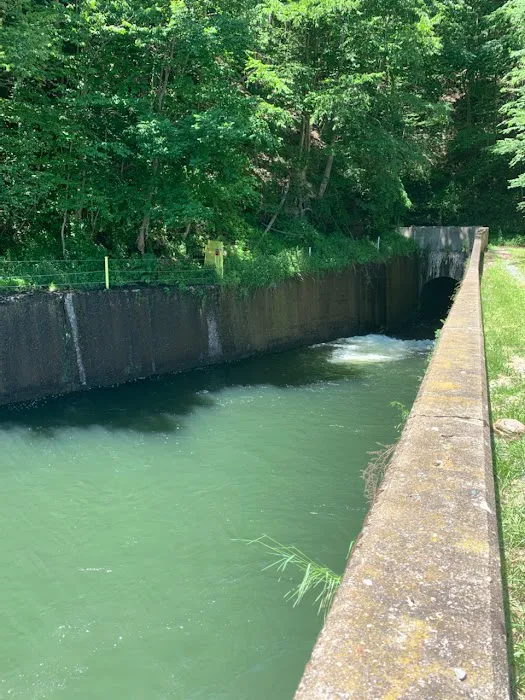 East Branch Campground 9