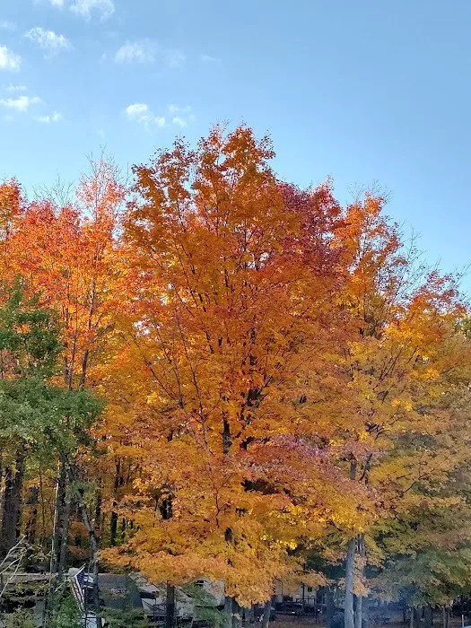 Bettum's Idlewood Family Campground 4