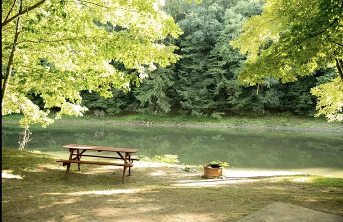 Riverhurst Park Campground 4