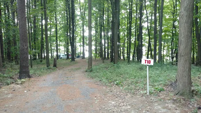 Back-Achers Campsite 5