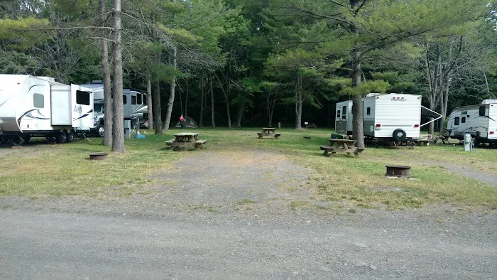 Back-Achers Campsite 6