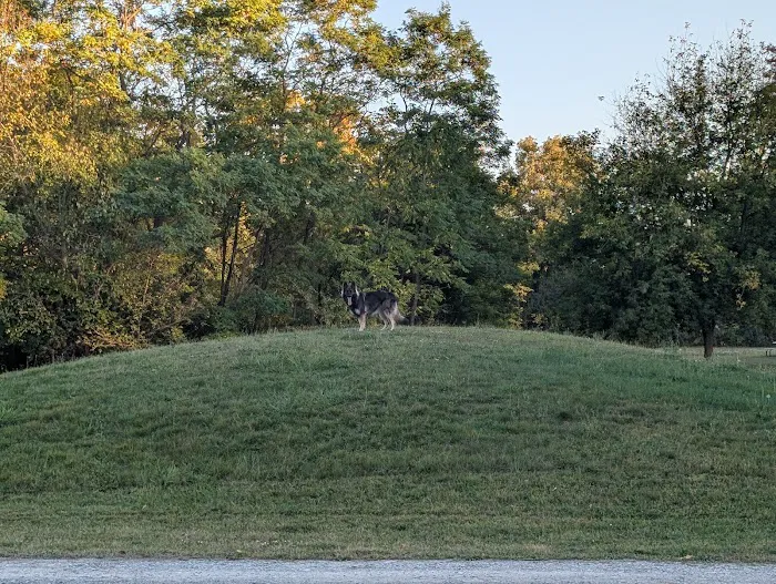 Finger Lakes Cabins and Campground 6