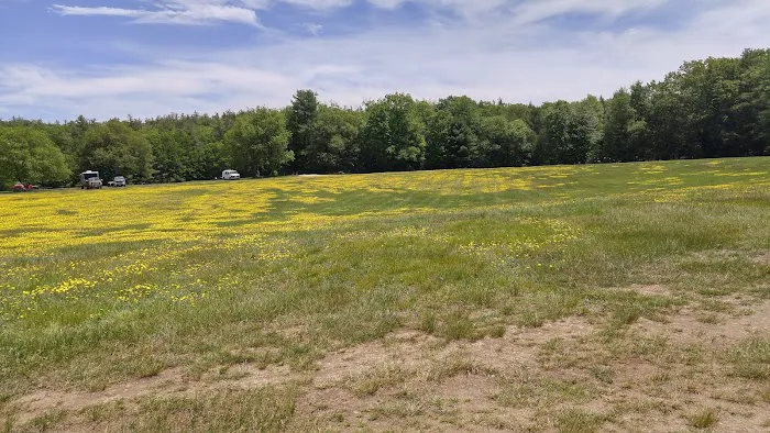 Field & Forest Recreation Area 5