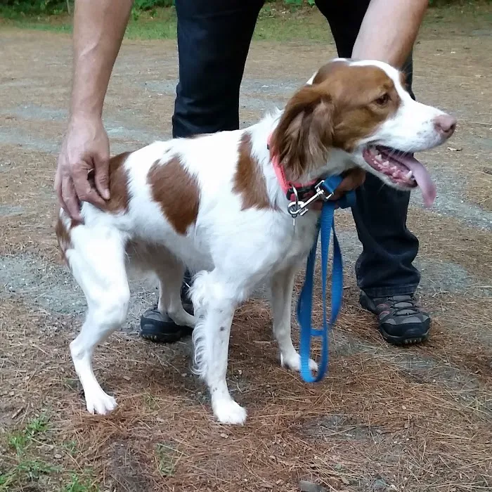 Tree Farm Campground 7