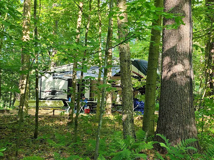 Tree Farm Campground 4