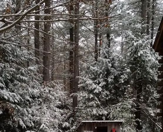 Tree Farm Campground