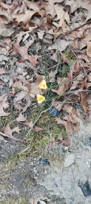 Post Road Mobile Home Park 1