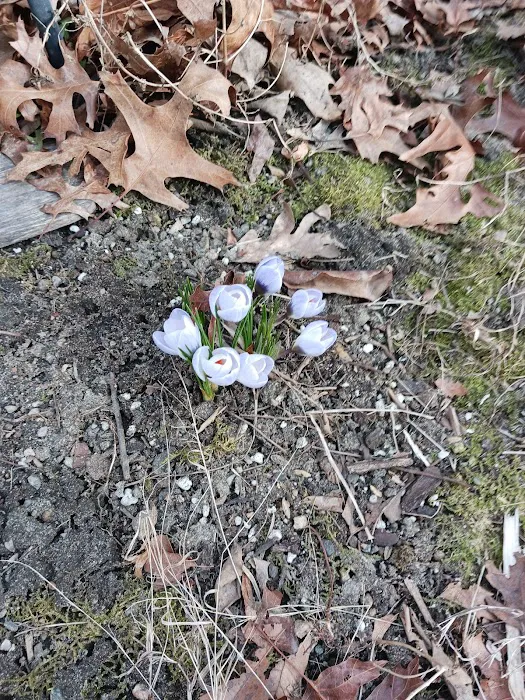 Post Road Mobile Home Park 4