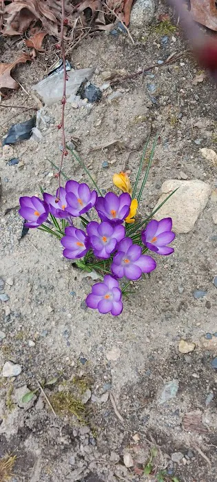 Post Road Mobile Home Park 6