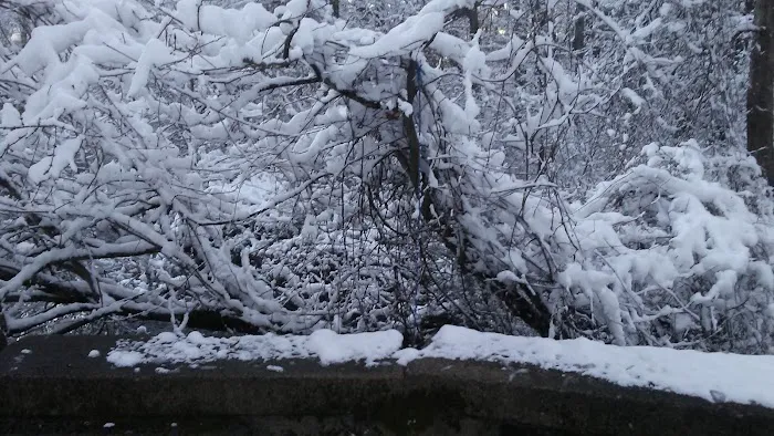 Kingstown Park Mobile Home & Sales 3