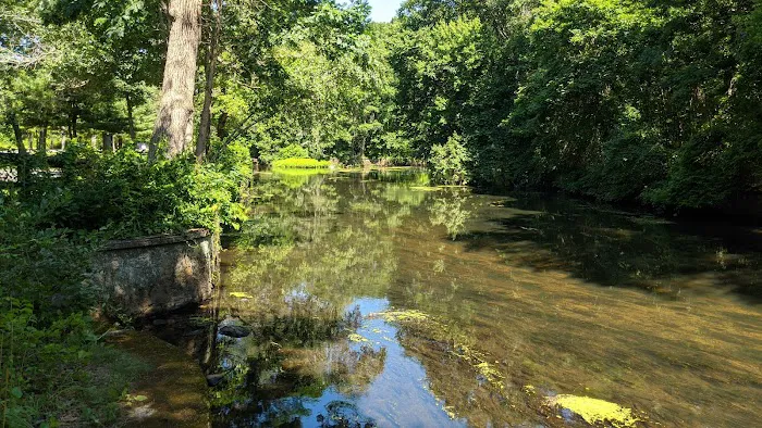 Countryside Trailer Park 2