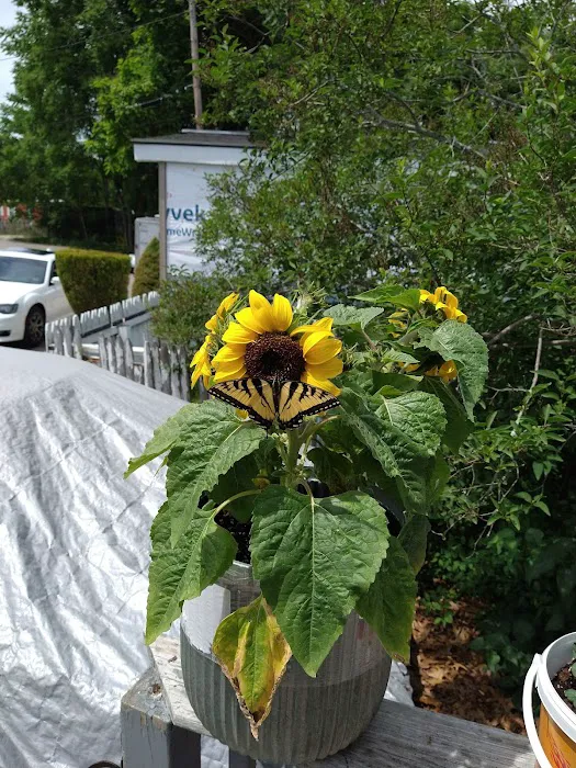 Countryside Trailer Park 6