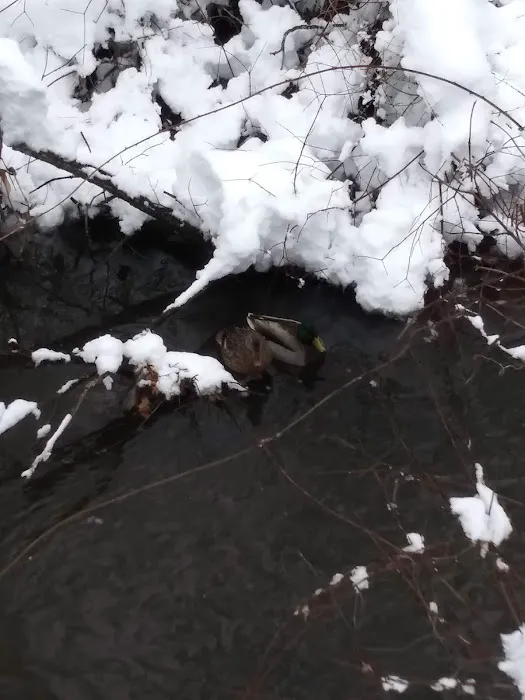 Waters Edge Estates 0