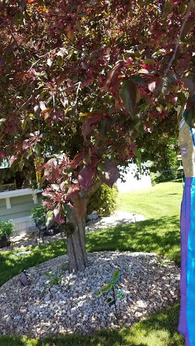 Littleton Motor Court 6