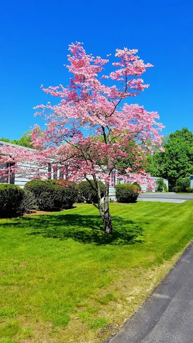 Littleton Motor Court 0