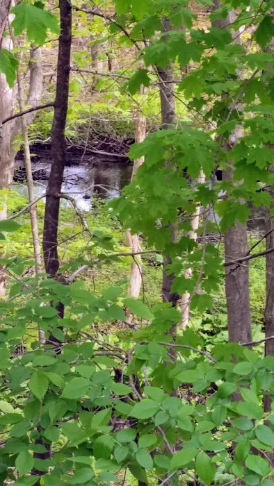 Littleton Motor Court 3