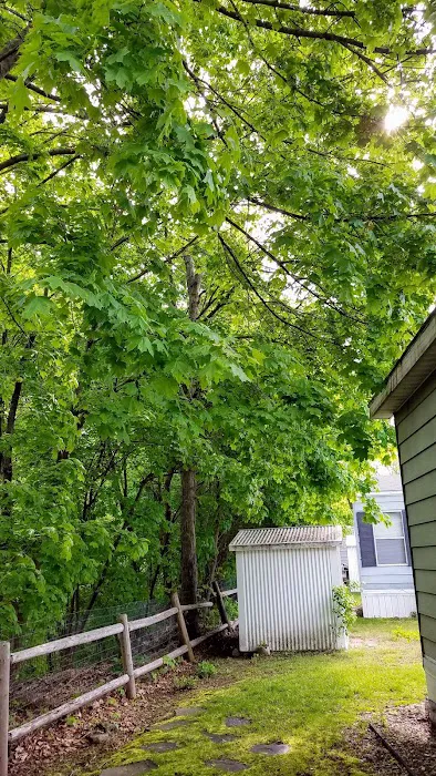 Littleton Motor Court 4