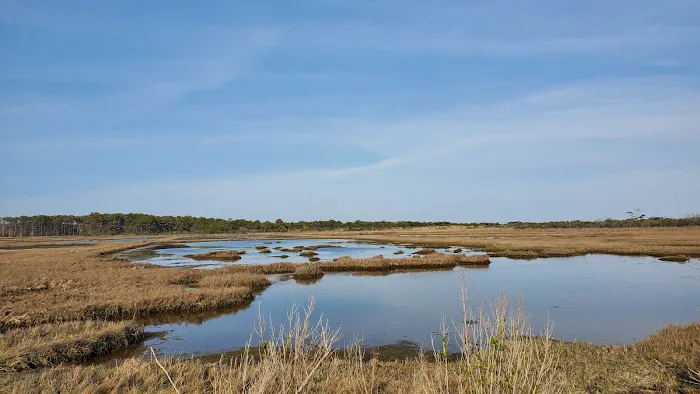 Oceanside Walk-In Campground 3