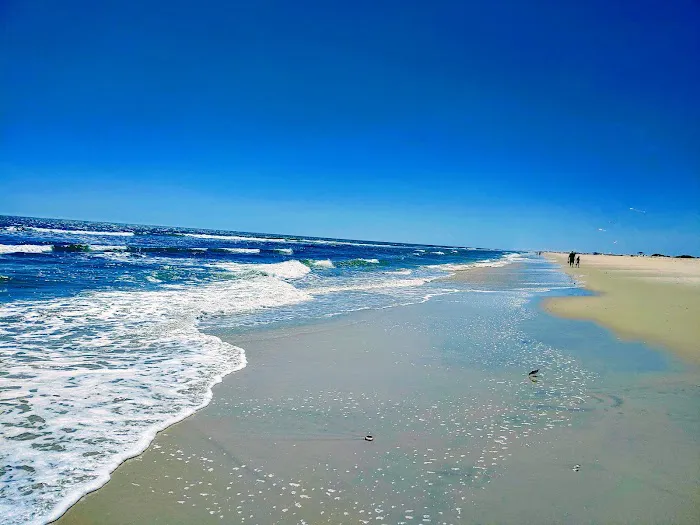 Oceanside Walk-In Campground 5