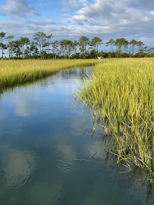 Tom's Cove Quarter Horses 2