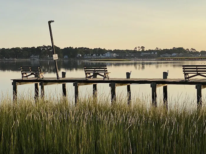 Tom's Cove Quarter Horses 7