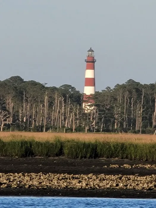 Tom's Cove Quarter Horses 0