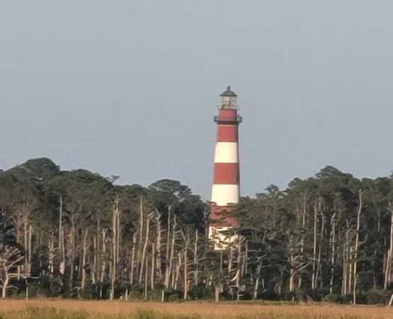 Tom's Cove Quarter Horses