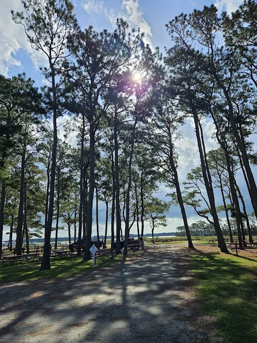 Tom's Cove Quarter Horses 9